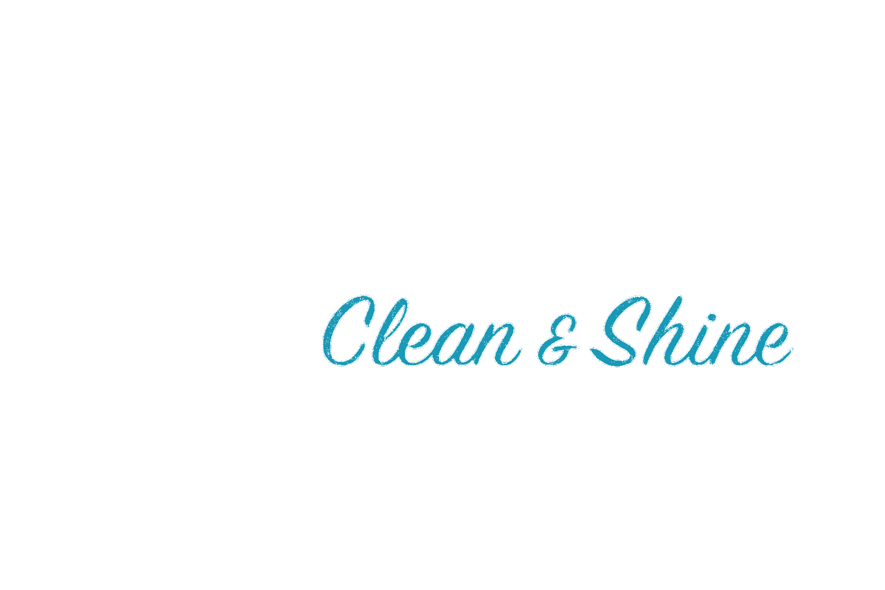 Veruya Clean & Shine